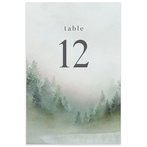 Mountain Mist Table Numbers - 