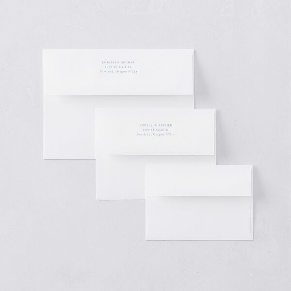 Coastal Oysters and Anchors Thank You Card Envelopes White Sea Blue Both Recipient and Return Addresses Signature Standard
