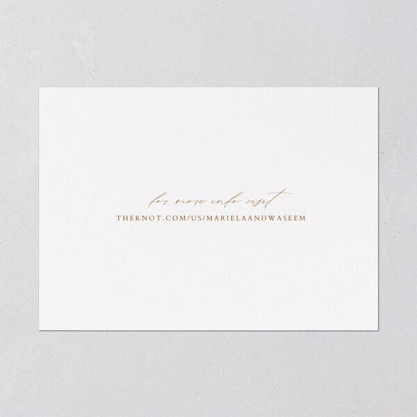 Classic Cascade Save The Date Cards Snow Signature smooth Blank No