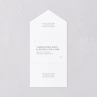 Starry Photo All-in-One Wedding Invitations Midnight Signature Light Both Recipient and Return Addresses No