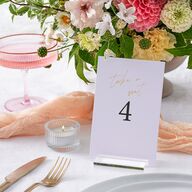 Just Love Table Numbers Gold Sheer Lilac Signature