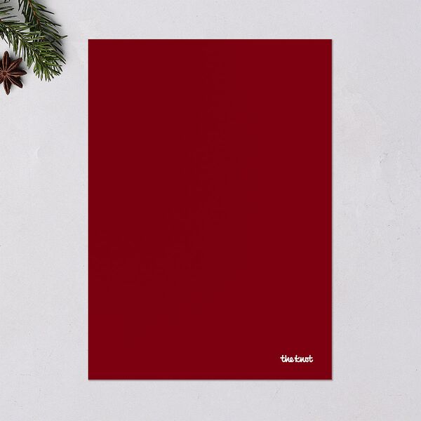 Merry Border Holiday Cards Jewel Red Signature Blank Portrait Standard