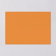 Retro Sunburst Save the Date Cards Pumpkin Signature smooth Blank No