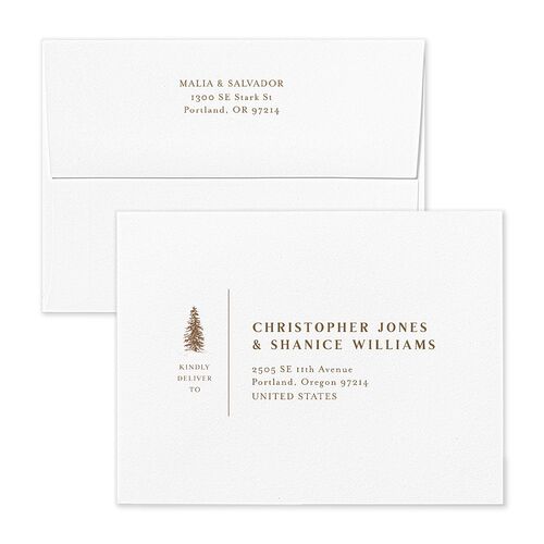 Etched Mountains Thank You Card Envelopes Kraft Sepia Both Recipient and Return Addresses Signature Standard