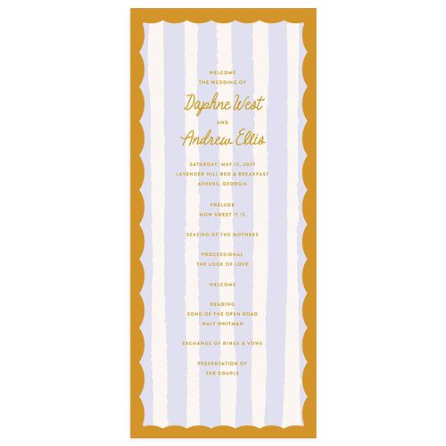 Eclectic Painted Stripes Wedding Programs Umber Signature
