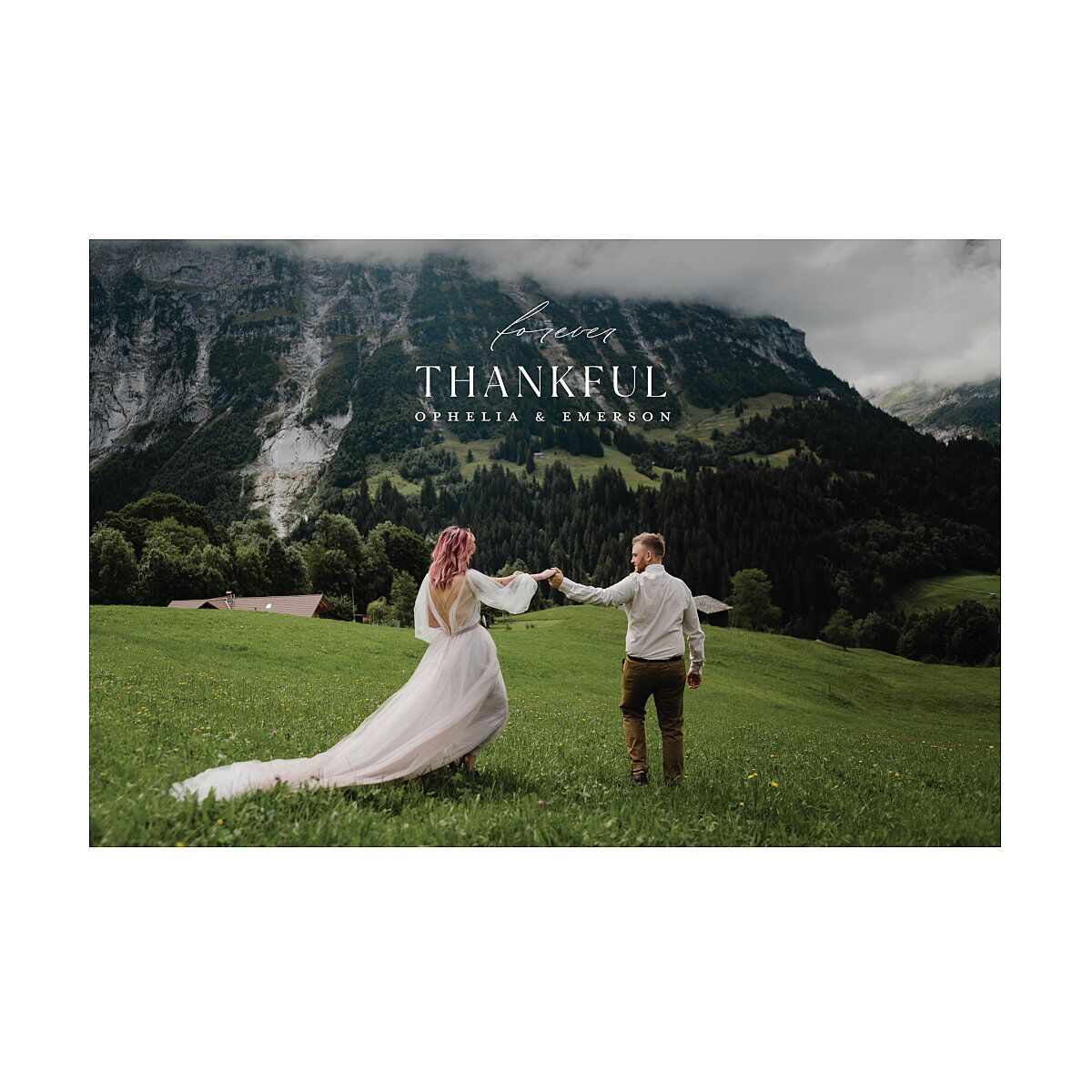 Mountain Wildflowers Thank You Postcards