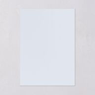 Elegant Antique Toile Frame Wedding Invitations by Bridgerton Cruise Signature Blank No Standard