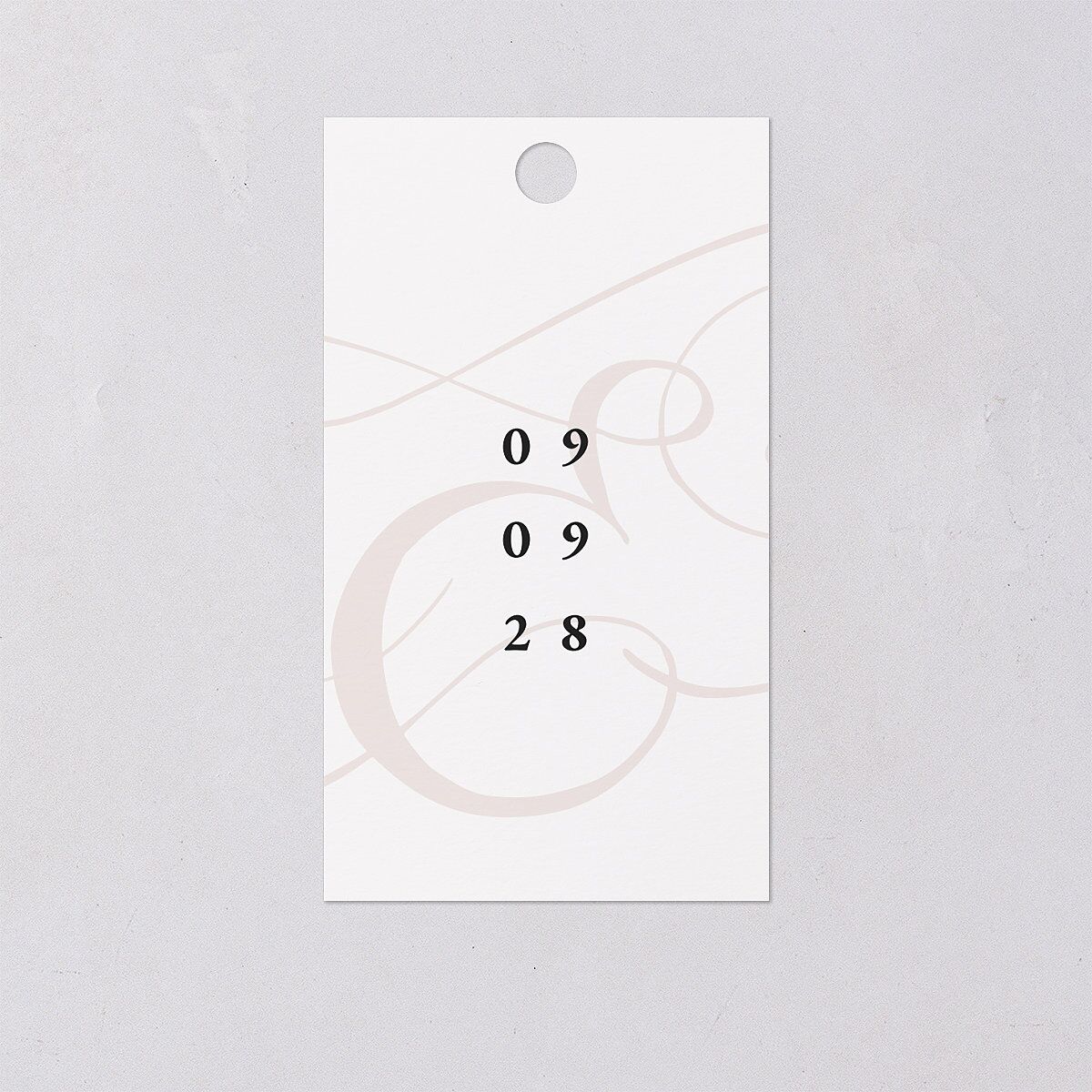 Ampersand Flourish Favor Gift Tags Snow Signature