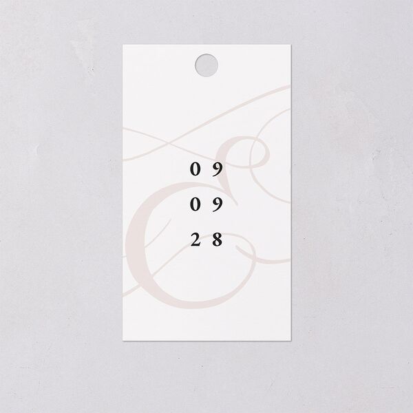 Ampersand Flourish Favor Gift Tags Snow Signature