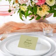 Cabana Stripes Place Cards Olive Signature