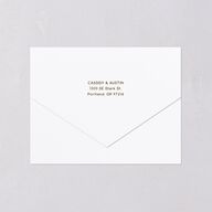 Southwestern Nouveau All-in-One Wedding Invitations Umber Signature Light Both Recipient and Return Addresses No