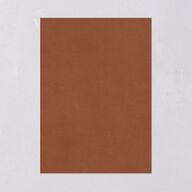 Wild Daisies Bridal Shower Invitations Buttercup Signature Blank Standard