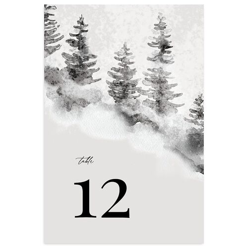 Snowy Mountainside Table Numbers Licorice Signature