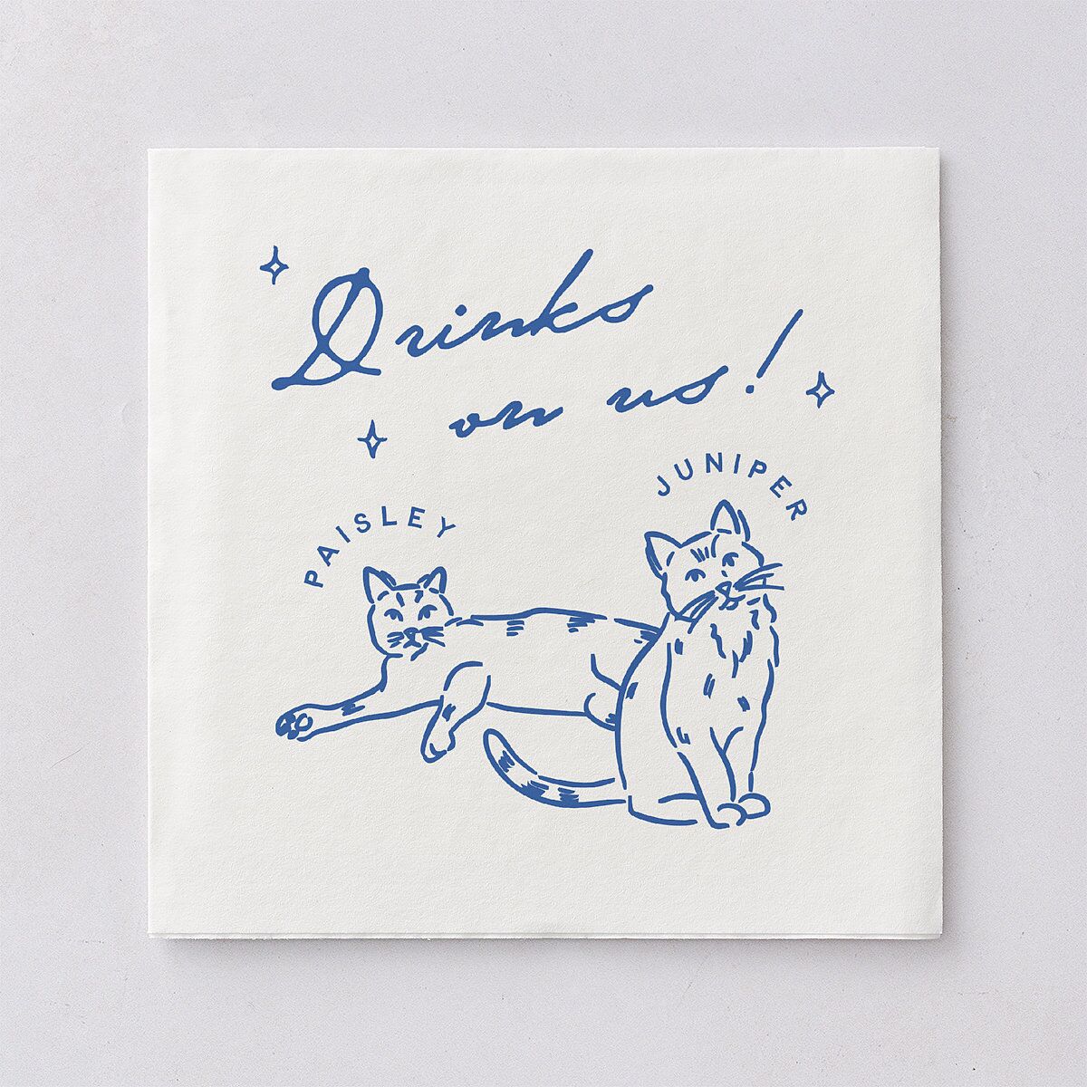 Hand Drawn Cake Luncheon Napkins French Blue Napkin Uncoined