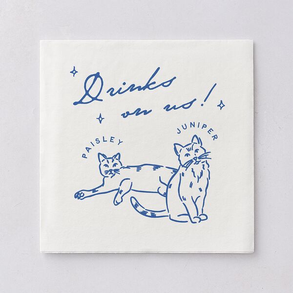 Hand Drawn Cake Luncheon Napkins French Blue Napkin Uncoined