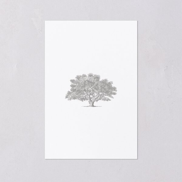 Southern Oak Tree Foil Table Numbers Gold Pure White Signature