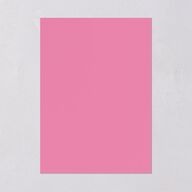 Chinese Phoenix Fenghuang Wedding Invitations Rose Pink Signature Blank No Standard
