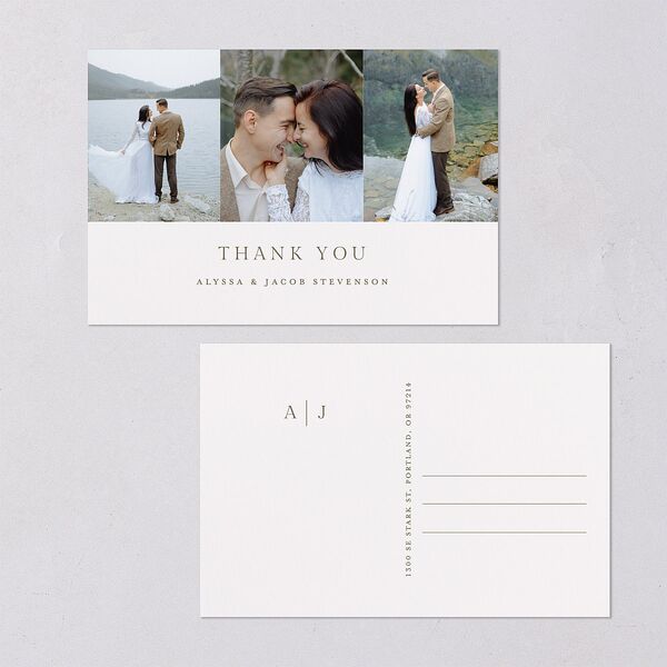 Timeless Triptych Photo Series Thank You Postcards Champagne