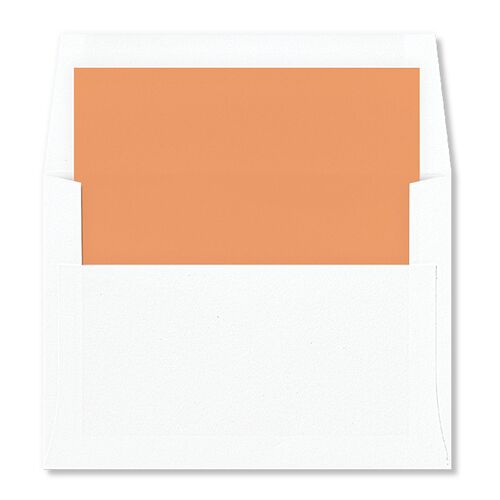 Bold Typography Envelope Liners Burnt Orange Standard