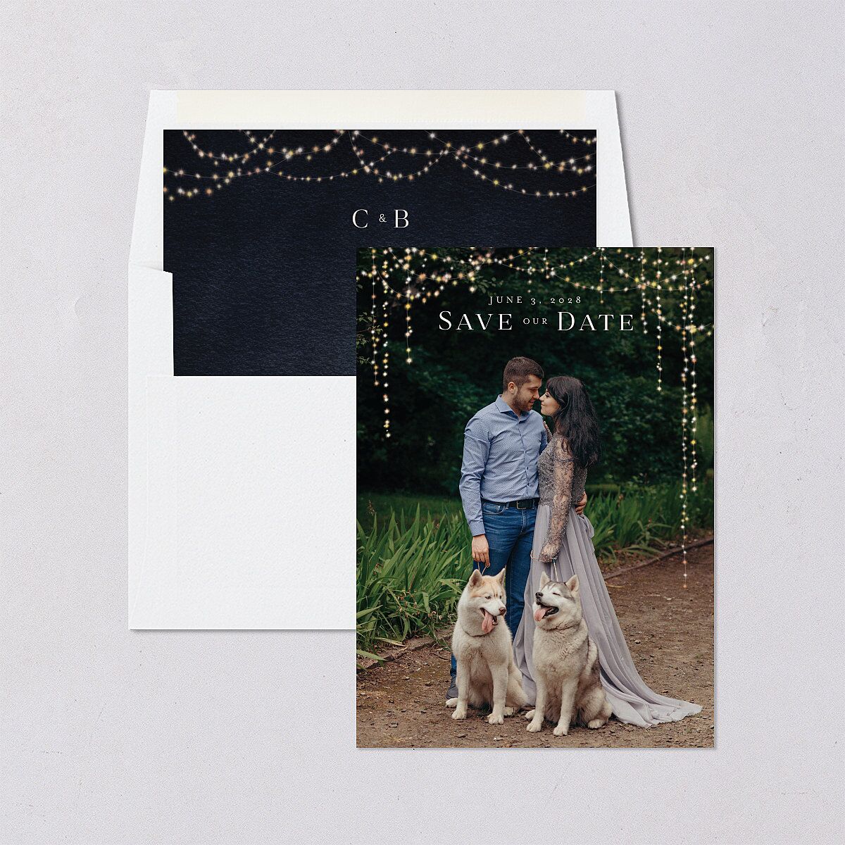 Enchanted Evening Save the Date Cards — view 4
