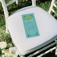Wedstock Wedding Programs Sky Signature