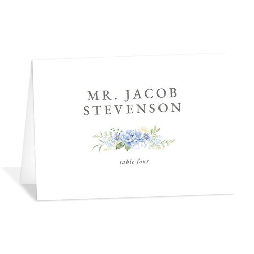 Glamorous Regency Garden Place Cards by Bridgerton Ice Blue Signature