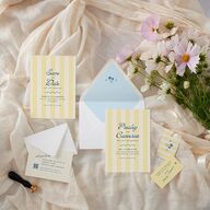 Cabana Stripes Euro Envelope Liners Lemon Luxe