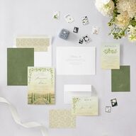 Elegant Italy Wedding Invitations Thyme Signature Blank No Standard