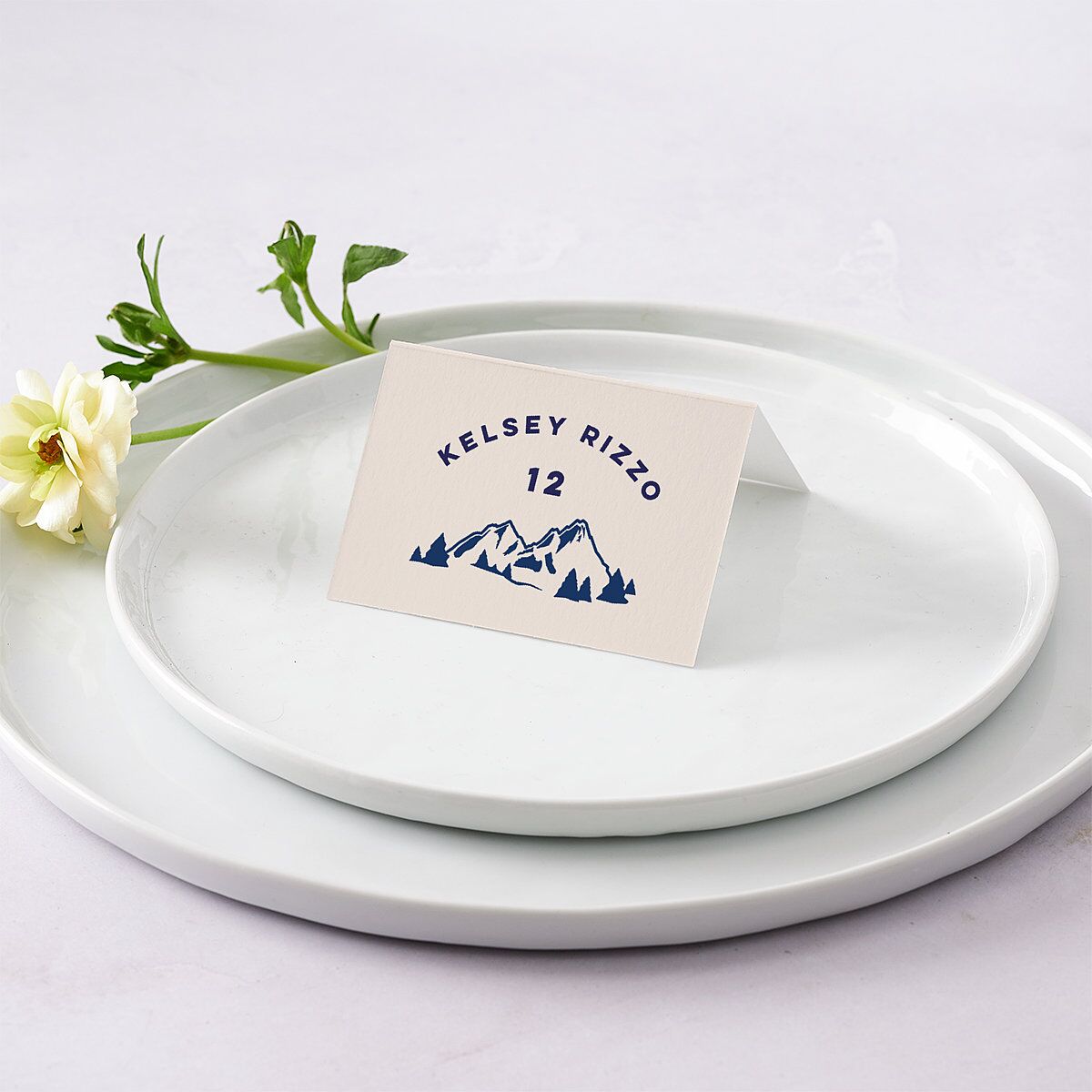 Adventure Icon Place Cards Navy Signature