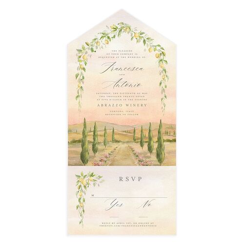 Elegant Italy All-in-One Wedding Invitations Desert Rose Signature Light Both Recipient and Return Addresses No
