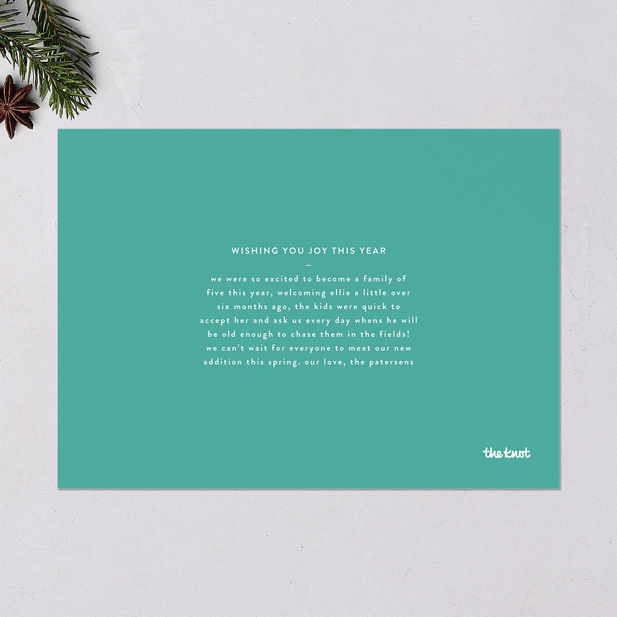 Next Step Holiday Cards Sky Signature Blank Standard Landscape