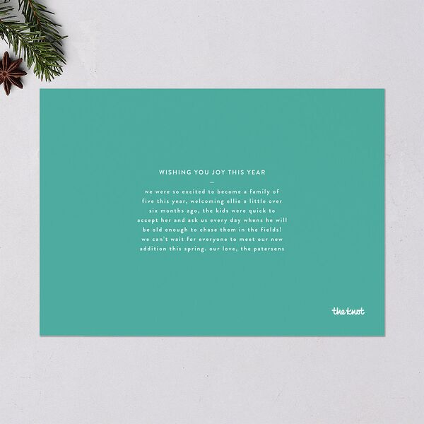 Next Step Holiday Cards Sky Signature Blank Standard Landscape