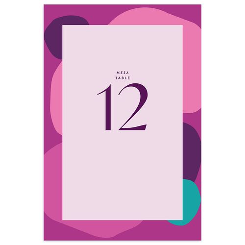 Santa Cruz Bilingual Foreign Language Table Numbers Iris Signature