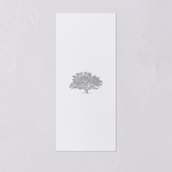 Southern Oak Tree Menus Pure White Signature
