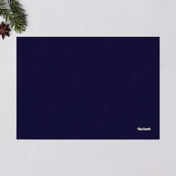 Holiday Hues Holiday Cards Gold Navy Signature Blank Landscape Standard