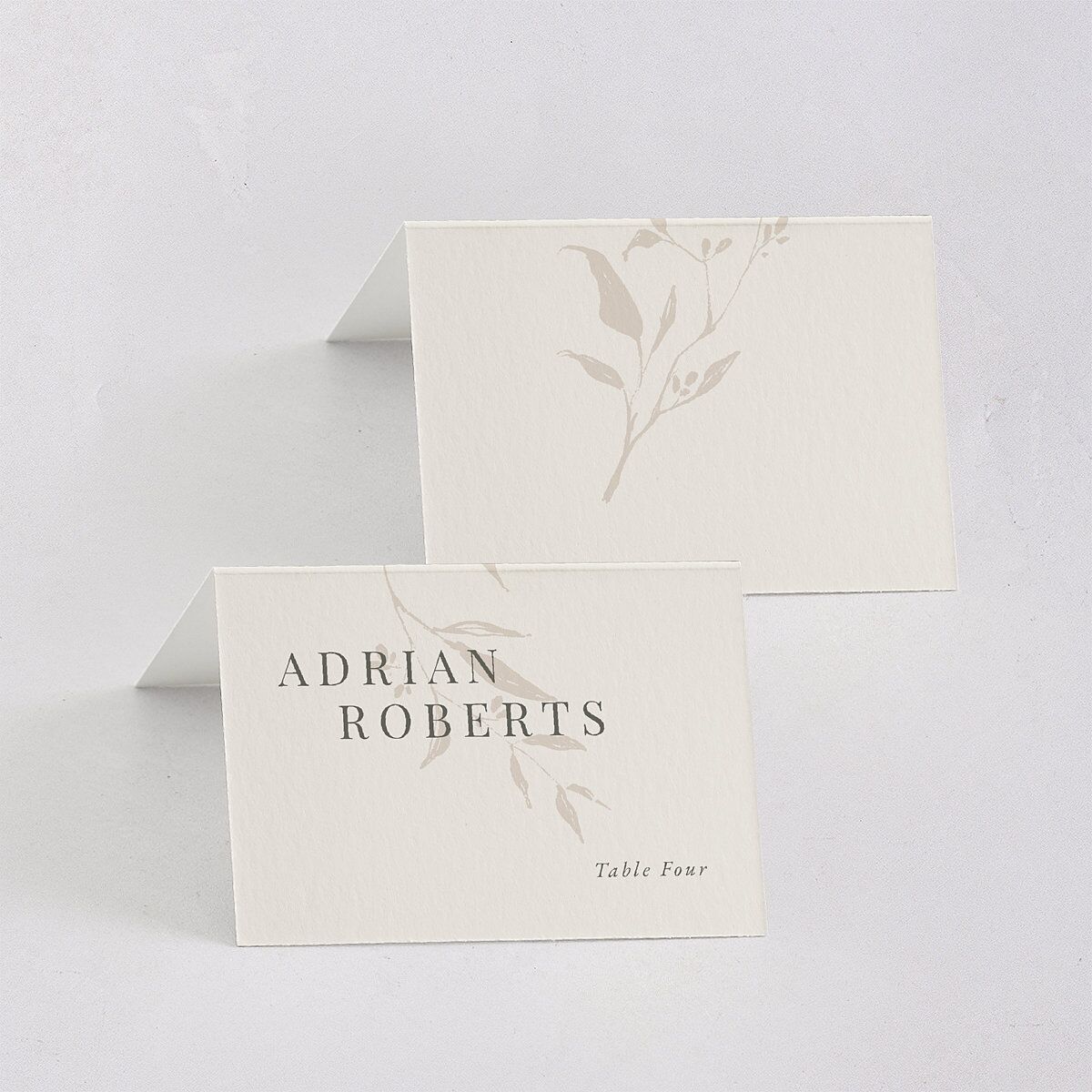 Rustic Minimal Place Cards Champagne Signature