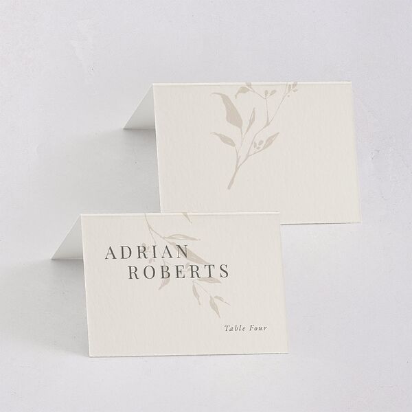 Rustic Minimal Place Cards Champagne Signature