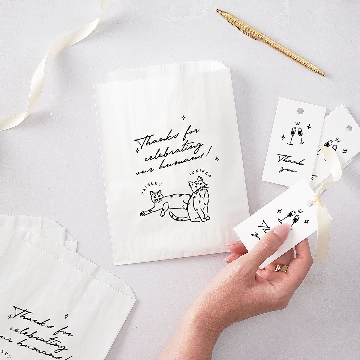 Hand Drawn Cake Favor Bags White Pure White Wax-Lined Food Safe Paper