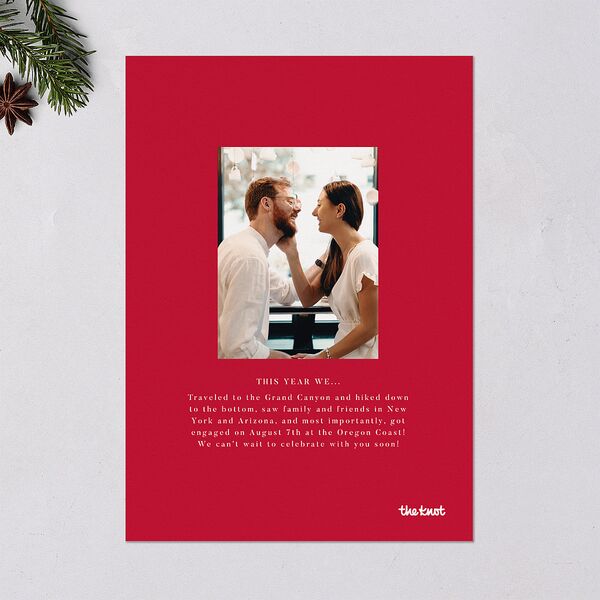 Ballpoint Holiday Holiday Cards Ruby Signature Blank Standard Portrait