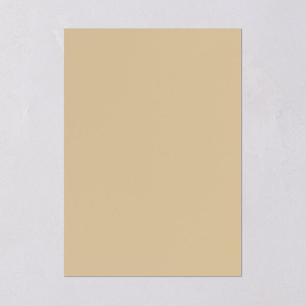 Intricate Vintage Wedding Invitations Tan Signature Blank No Standard