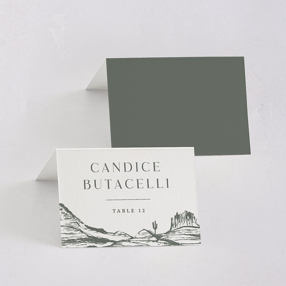 Western Cactus Place Cards Eucalyptus Signature