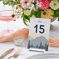 Vintage Mountain Table Numbers Dusty Blue Signature