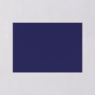 Adventure Icon Wedding Enclosure Cards Navy Signature Standard