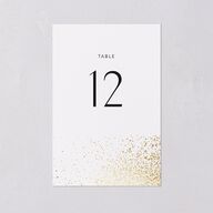 Shimmering Frame Table Numbers Gold Off-White Signature