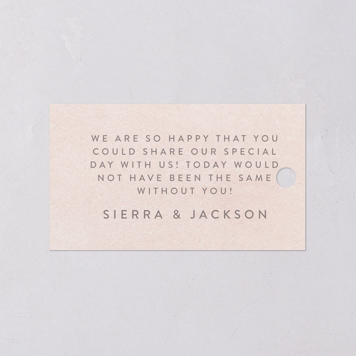 Painted Desert Favor Gift Tags — view 2