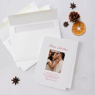 Ballpoint Holiday Holiday Cards Ruby Signature Blank Standard Portrait