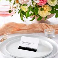 Painted Minimal Place Cards Midnight Signature