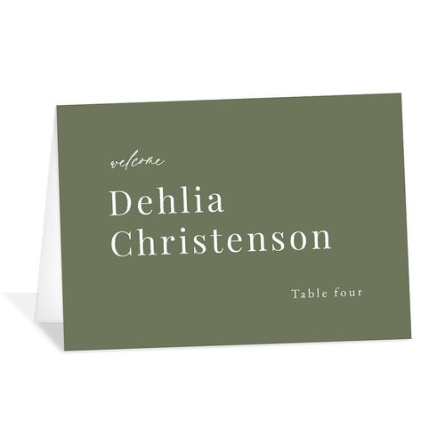 Snowy Mountainside Place Cards Thyme Signature
