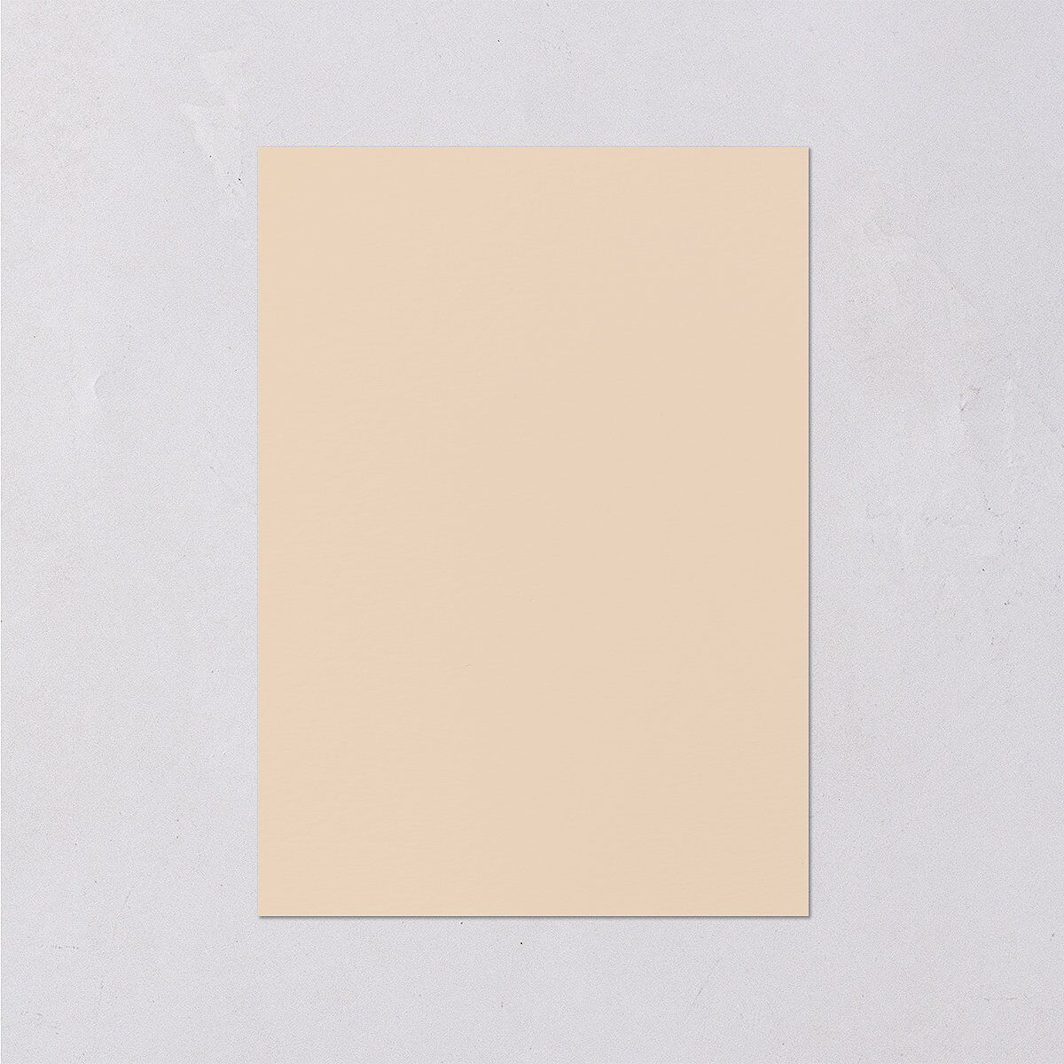 Regal Pampas Wedding Enclosure Cards Gold Deep Olive Signature Standard