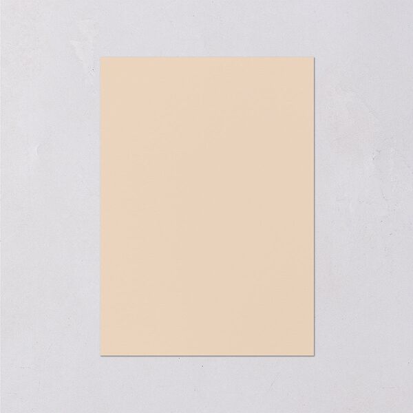 Regal Pampas Wedding Enclosure Cards Gold Deep Olive Signature Standard